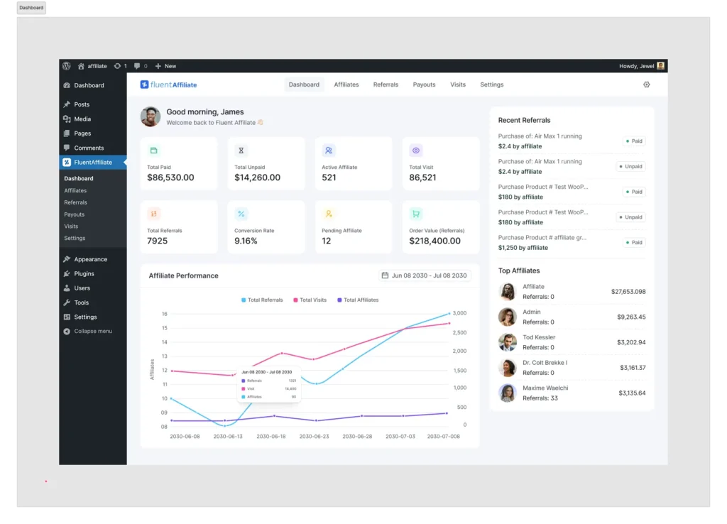 fluentaffiliate dashboard